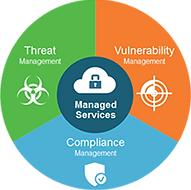 Managed Security Services